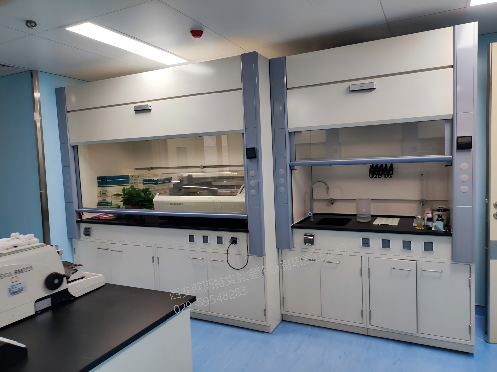 全不锈钢电动视窗通风柜